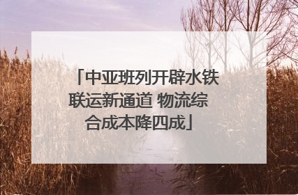 中亚班列开辟水铁联运新通道 物流综合成本降四成