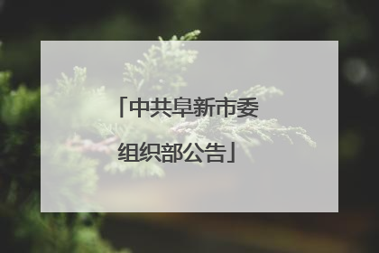 中共阜新市委组织部公告