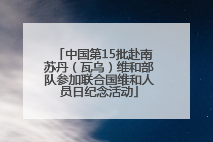 中国第15批赴南苏丹（瓦乌）维和部队参加联合国维和人员日纪念活动
