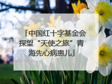 中国红十字基金会探望“天使之旅”青海先心病患儿