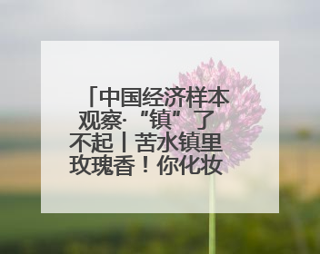 中国经济样本观察·“镇”了不起丨苦水镇里玫瑰香！你化妆品里的六成香产自这个小镇