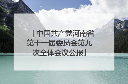 中国共产党河南省第十一届委员会第九次全体会议公报