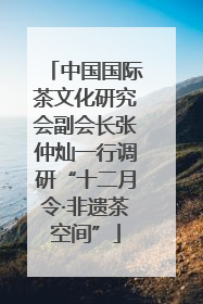 中国国际茶文化研究会副会长张仲灿一行调研“十二月令·非遗茶空间”