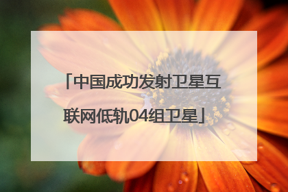 中国成功发射卫星互联网低轨04组卫星