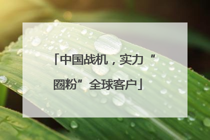 中国战机，实力“圈粉”全球客户