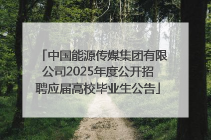 中国能源传媒集团有限公司2025年度公开招聘应届高校毕业生公告