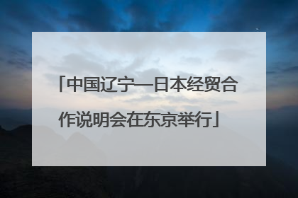 中国辽宁—日本经贸合作说明会在东京举行