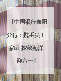 中国银行襄阳分行：携手员工家庭 探秘海洋迎六一