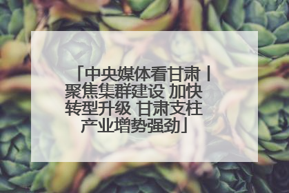 中央媒体看甘肃丨聚焦集群建设 加快转型升级 甘肃支柱产业增势强劲