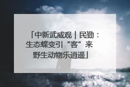 中新武威观｜民勤：生态蝶变引“客”来 野生动物乐逍遥