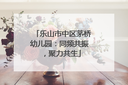 乐山市中区茅桥幼儿园：同频共振，聚力共生