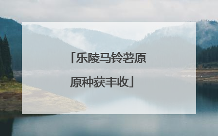 乐陵马铃薯原原种获丰收