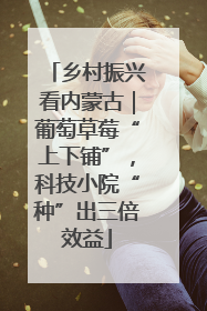 乡村振兴看内蒙古｜葡萄草莓“上下铺”，科技小院“种”出三倍效益