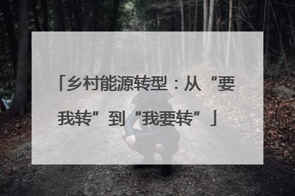 乡村能源转型：从“要我转”到“我要转”