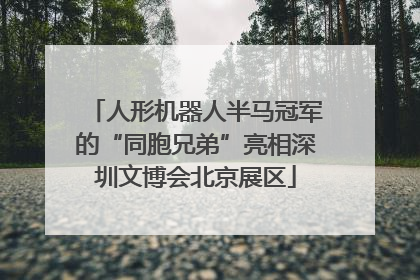 人形机器人半马冠军的“同胞兄弟”亮相深圳文博会北京展区