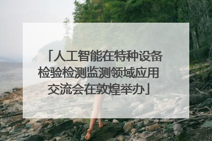 人工智能在特种设备检验检测监测领域应用交流会在敦煌举办
