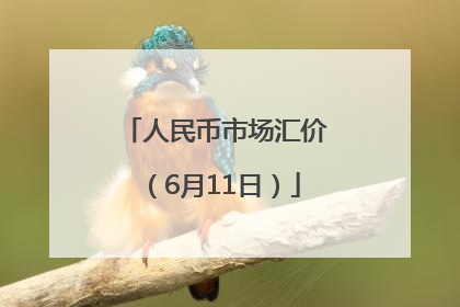 人民币市场汇价（6月11日）