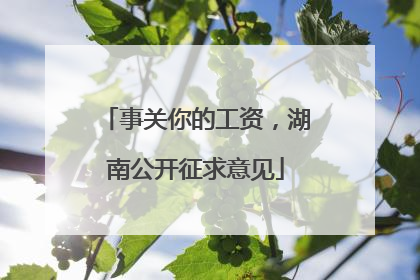 事关你的工资，湖南公开征求意见