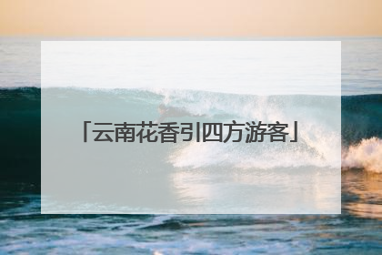 云南花香引四方游客
