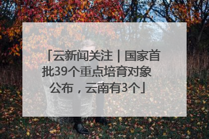 云新闻关注｜国家首批39个重点培育对象公布，云南有3个