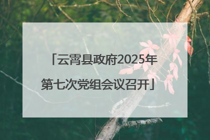 云霄县政府2025年第七次党组会议召开