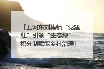 五河东刘集镇“党建红”引领“生态绿” 积分制赋能乡村治理