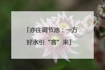 亦庄调节池：一方好水引“客”来