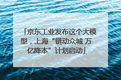 京东工业发布这个大模型，上海“链动众城 万亿降本”计划启动