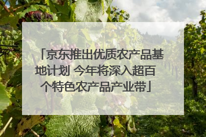 京东推出优质农产品基地计划 今年将深入超百个特色农产品产业带