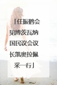 任振鹤会见博茨瓦纳国民议会议长凯奥拉佩采一行