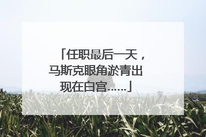 任职最后一天，马斯克眼角淤青出现在白宫……