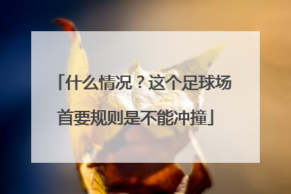 什么情况？这个足球场首要规则是不能冲撞