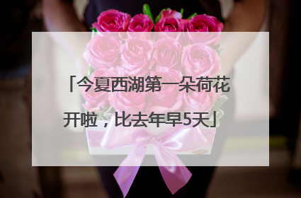 今夏西湖第一朵荷花开啦，比去年早5天