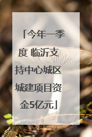 今年一季度 临沂支持中心城区城建项目资金5亿元