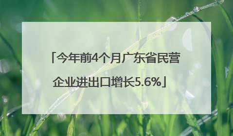 今年前4个月广东省民营企业进出口增长5.6%
