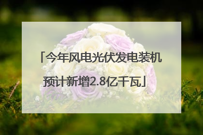 今年风电光伏发电装机预计新增2.8亿千瓦