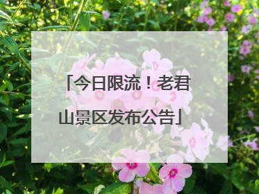 今日限流！老君山景区发布公告