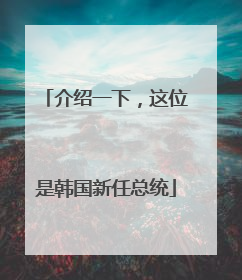 介绍一下，这位是韩国新任总统