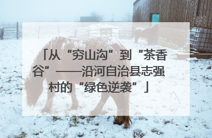 从“穷山沟”到“茶香谷”——沿河自治县志强村的“绿色逆袭”