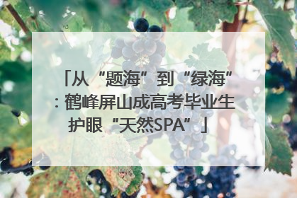 从“题海”到“绿海”：鹤峰屏山成高考毕业生护眼“天然SPA”