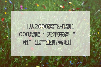 从2000架飞机到1000艘船：天津东疆“租”出产业新高地