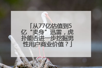从77亿估值到5亿“卖身”迅雷，虎扑能否进一步挖掘男性用户商业价值？