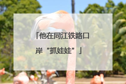 他在同江铁路口岸“抓娃娃”