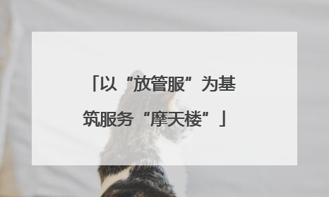 以“放管服”为基筑服务“摩天楼”