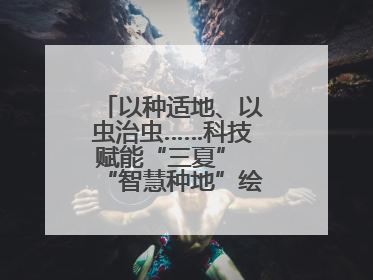以种适地、以虫治虫……科技赋能“三夏” “智慧种地”绘就好“丰”景