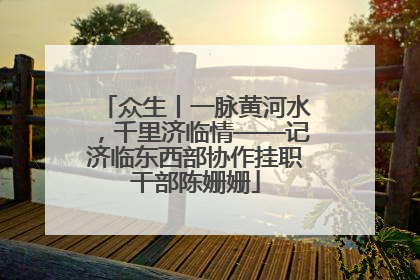 众生丨一脉黄河水，千里济临情——记济临东西部协作挂职干部陈姗姗