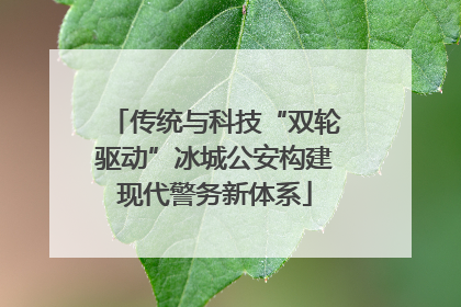 传统与科技“双轮驱动”冰城公安构建现代警务新体系
