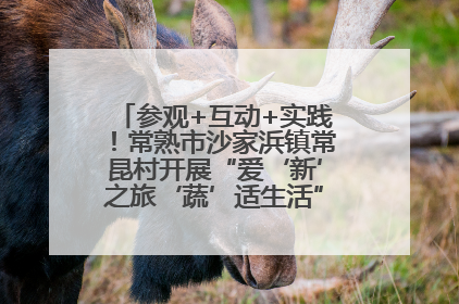 参观+互动+实践！常熟市沙家浜镇常昆村开展“爱‘新’之旅‘蔬’适生活”参观学习活动
