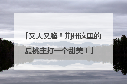 又大又脆！荆州这里的夏桃主打一个甜美！