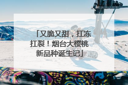 又脆又甜，扛冻扛裂！烟台大樱桃新品种诞生记